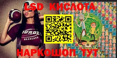 амф Кулебаки