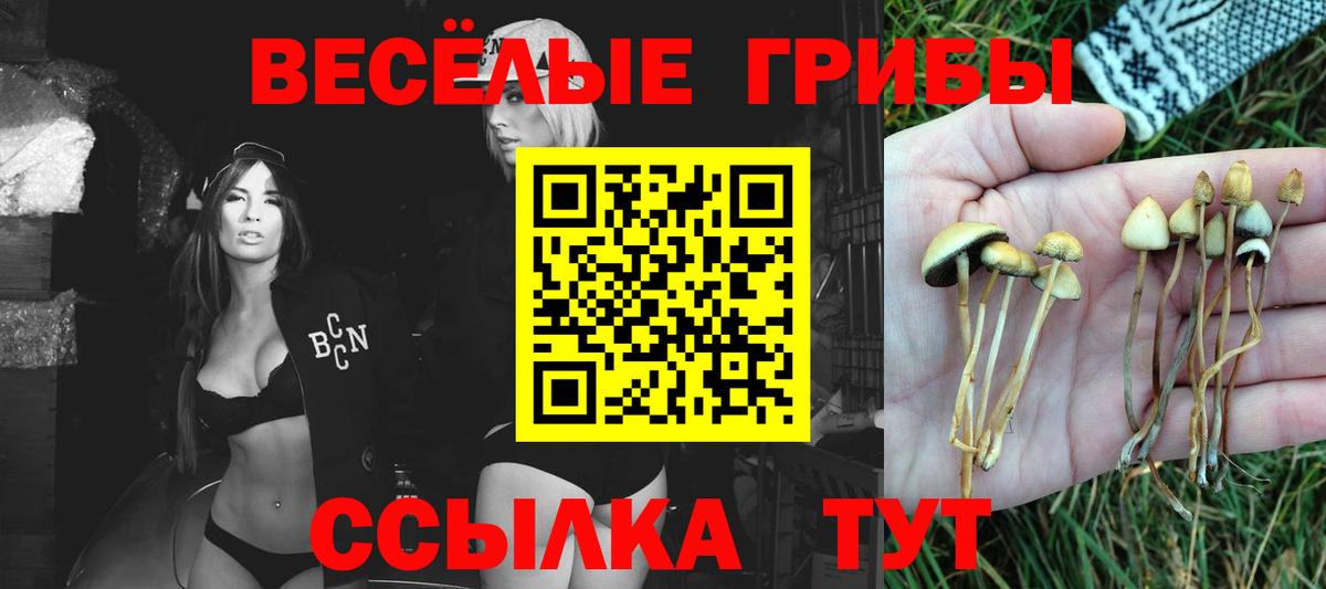 Донецк  Псилоцибиновые грибы мухоморы  Галлюциногенные грибы GOLDEN TEACHER  где можно купить наркотик  Вход с VPN 